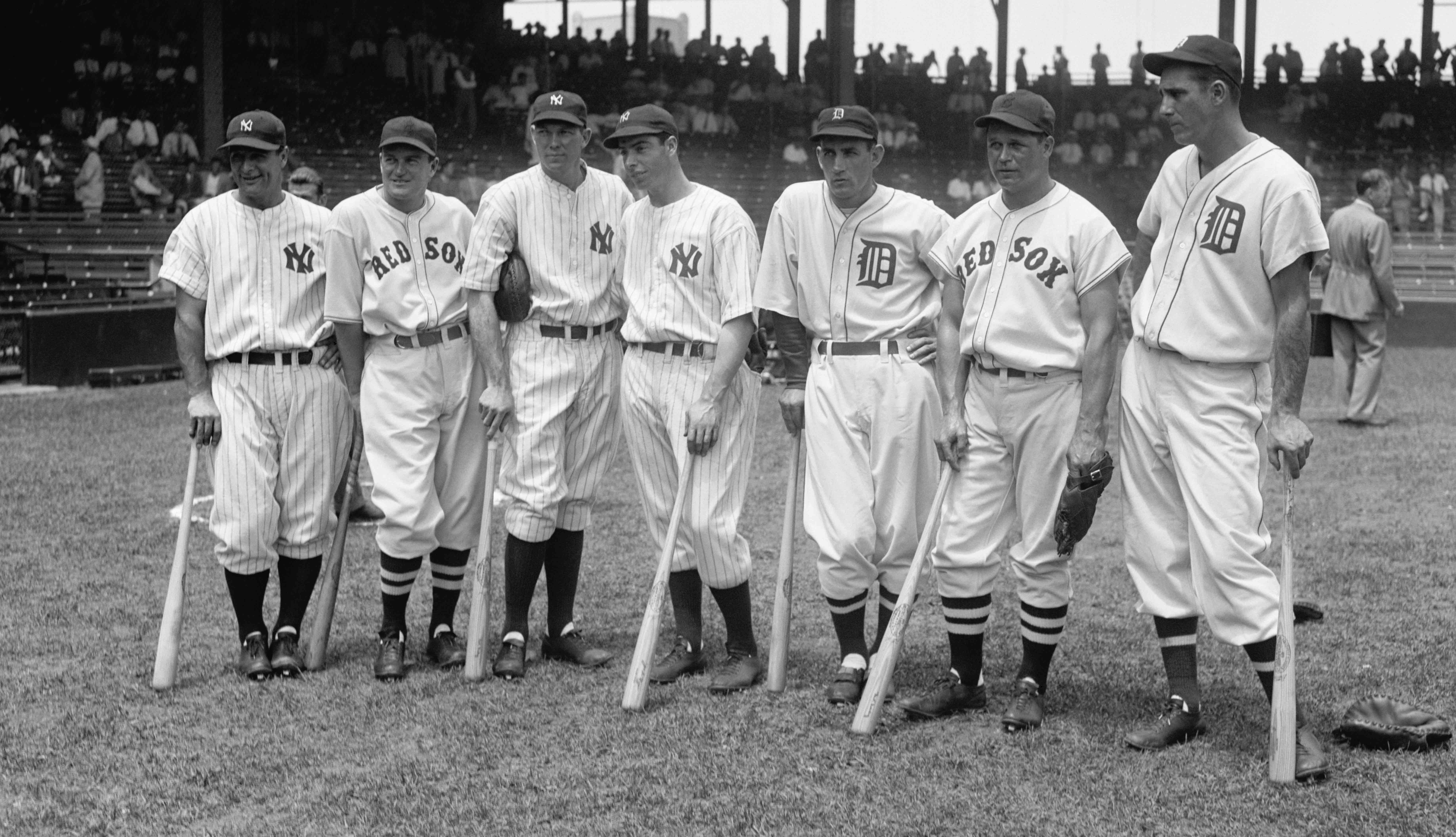 Imagination—Creativity—Innovation