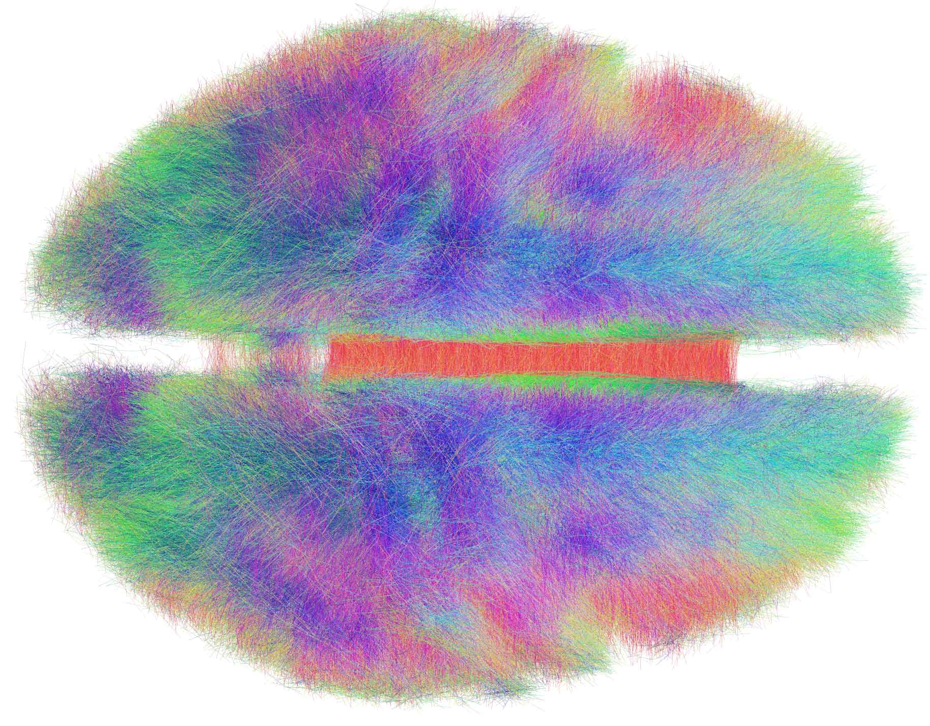 The_Human_Connectome